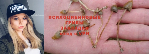твердый Зеленокумск